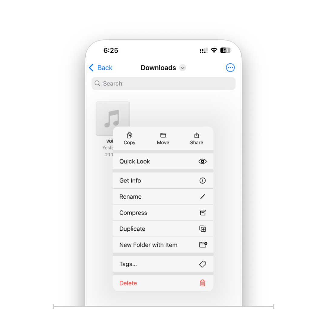 Manage Your Downloaded Files on I Phone 1 Manage Your Downloaded Files on I Phone 1