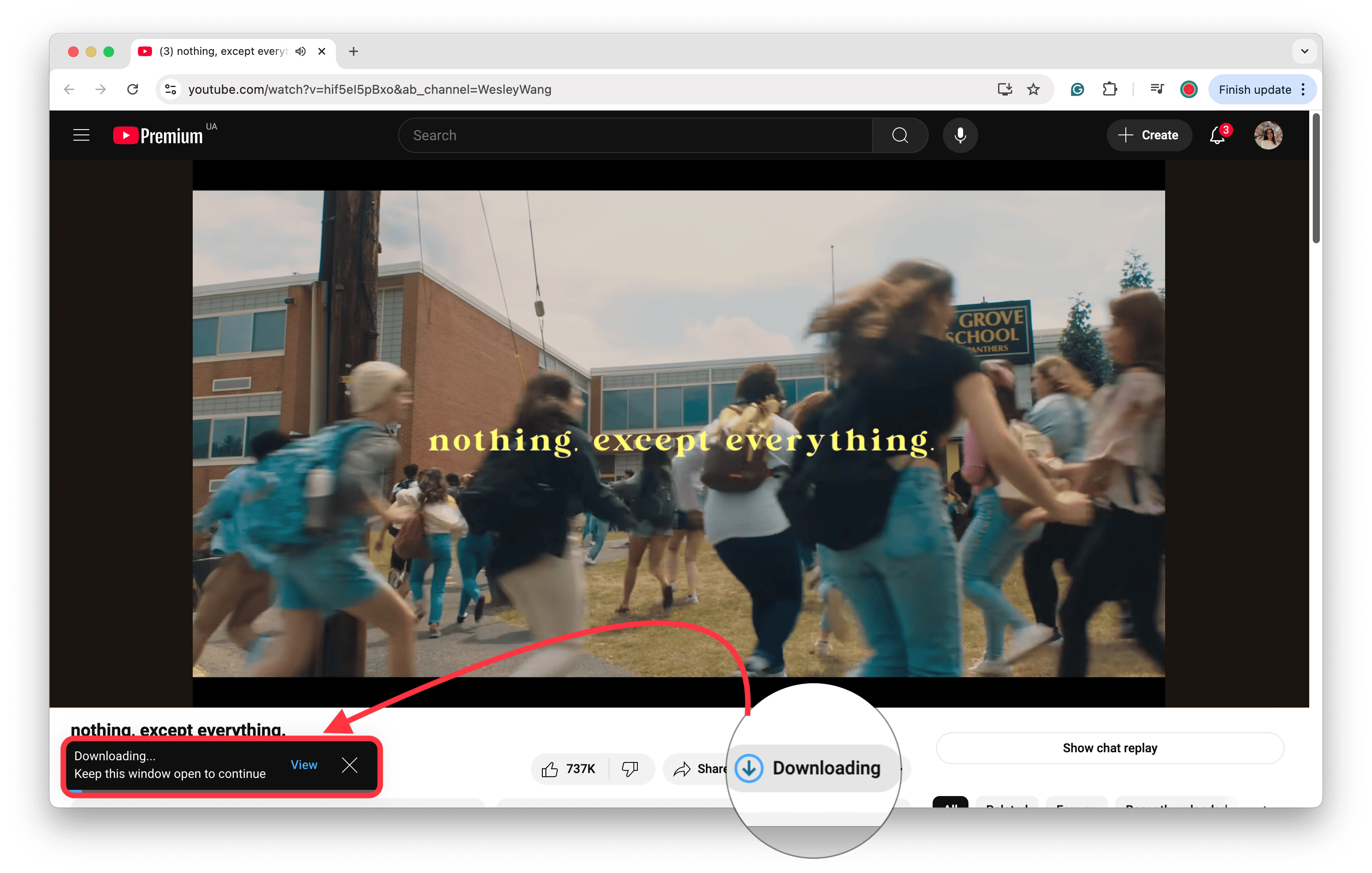 Downloading Videos With You Tube Premium Downloading Videos With You Tube Premium