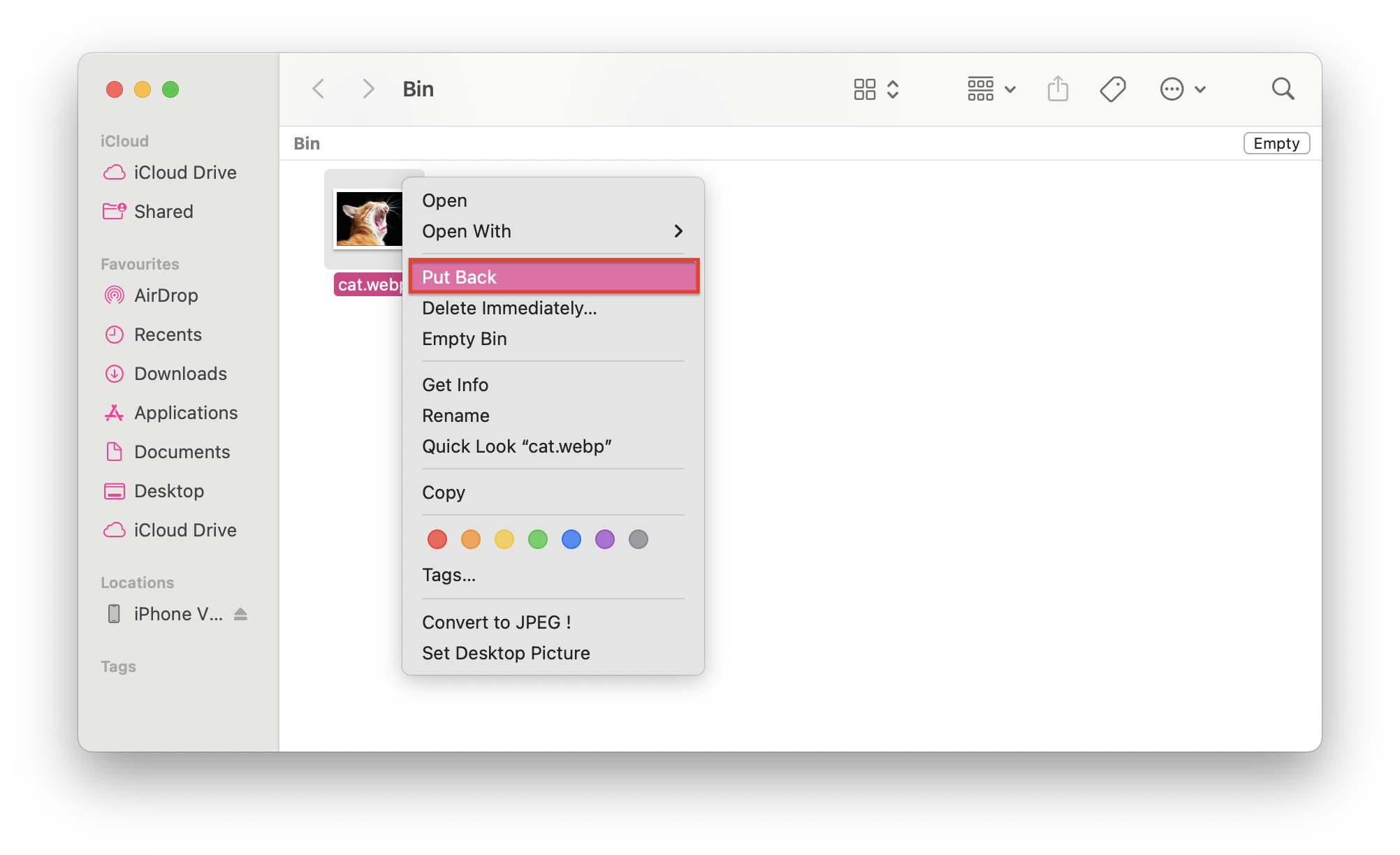 Recover Deleted Photos From Mac’s Bin