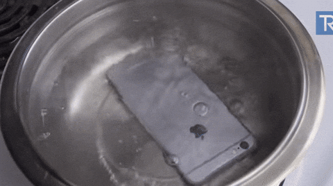 Giphy.gif Giphy.gif